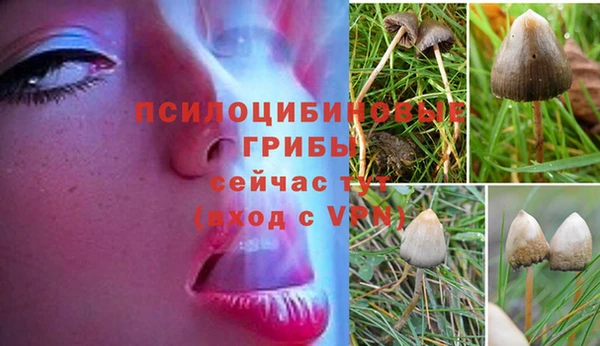 Альфа ПВП Заволжск