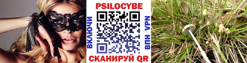 Купить  Ноябрьск  Галлюциногенные грибы Psilocybine cubensis 