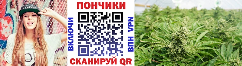Конопля Bruce Banner  Купить  Ноябрьск 